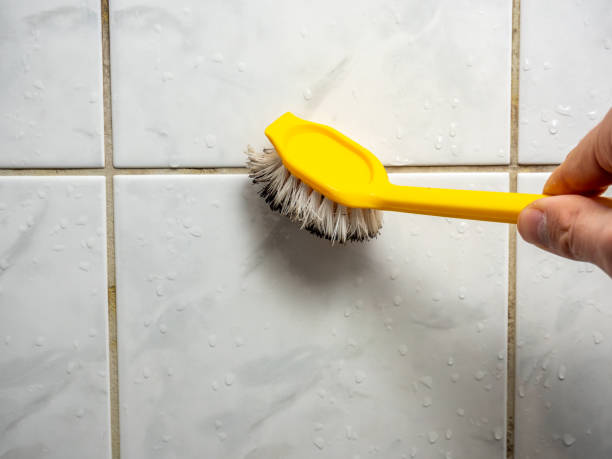 Merrydale, LA Mold Removal Company