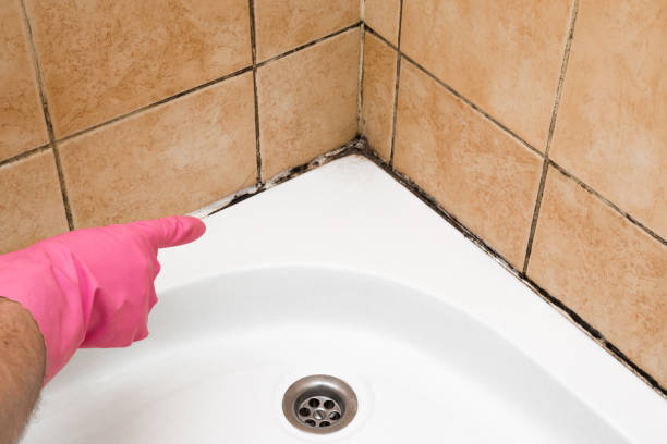 Best Emergency Mold Removal  in Merrydale, LA